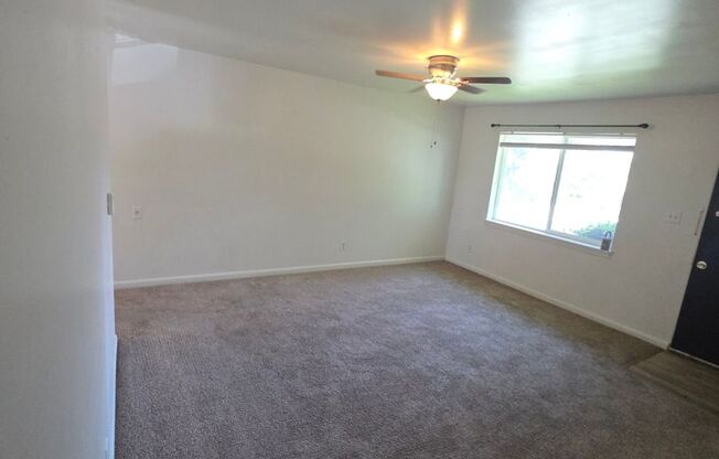 Charming 2 Bed, 1 Bath Apartment - Prime Location!