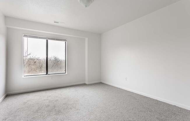 A room with a carpeted floor and a window showing a tree outside.