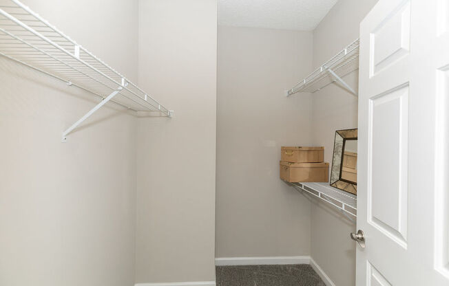 Guest bedroom walk in Closet