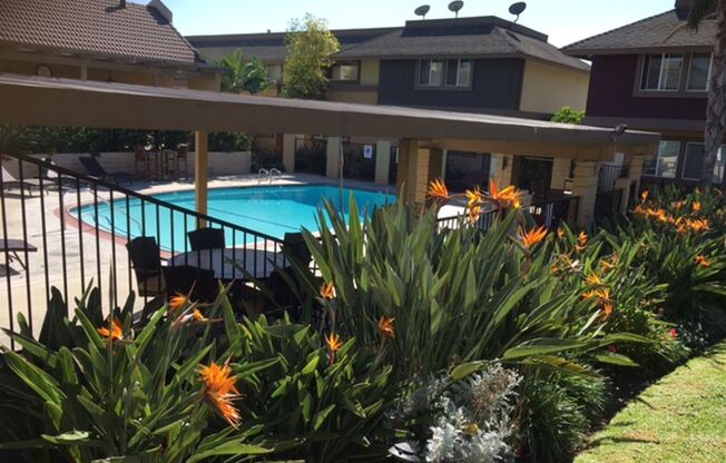 Avalon Townhomes