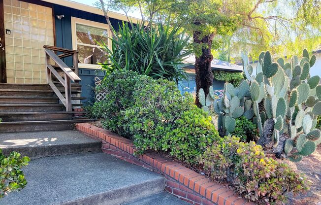 ~Stunning Remodeled 2 Bed/1 Bath Home in San Rafael~