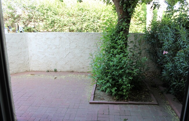 Studio, 1 bath, 520 sqft, $1,250, Unit N105