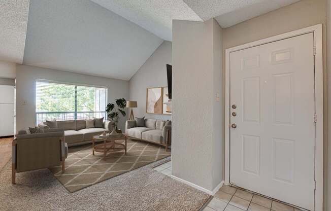 A living room with a couch, chair, and rug.