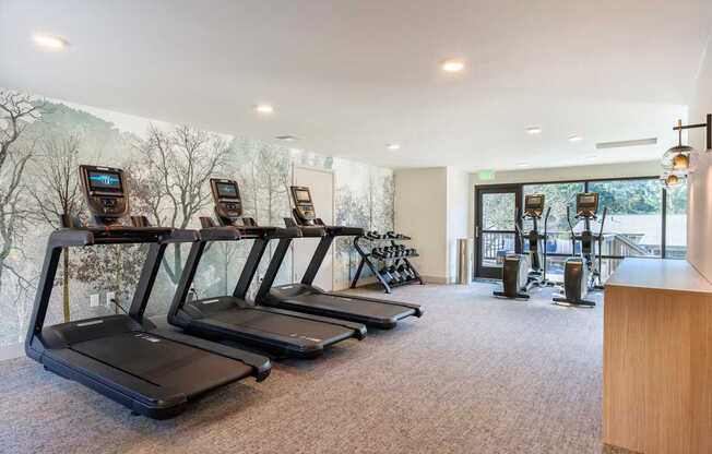 A gym with treadmills and exercise equipment.