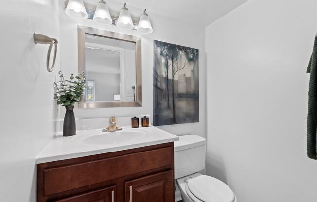 a bathroom with a sink and a toilet and a mirror