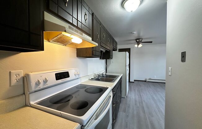 1 bed, 1 bath, 420 sqft, $795, Unit 1052 Unit 3