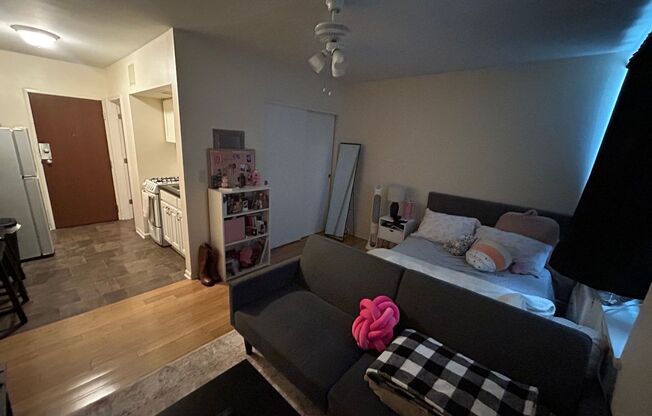 Studio, 1 bath, $825, Unit 104