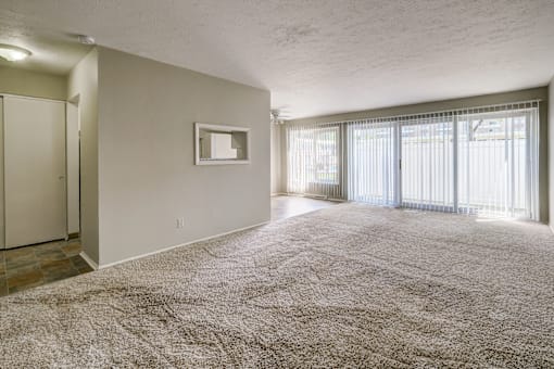 Living area with Natural Lighting