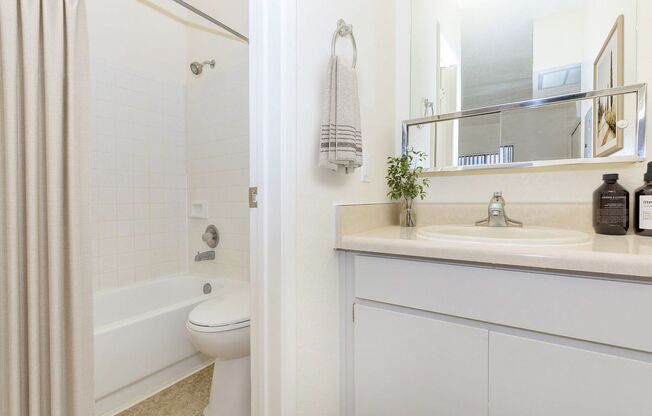1 bed, 1 bath, 520 sqft, $775, Unit 305
