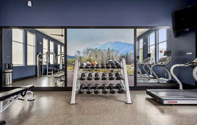 24-hour fitness center - Enclave at Cherry Creek