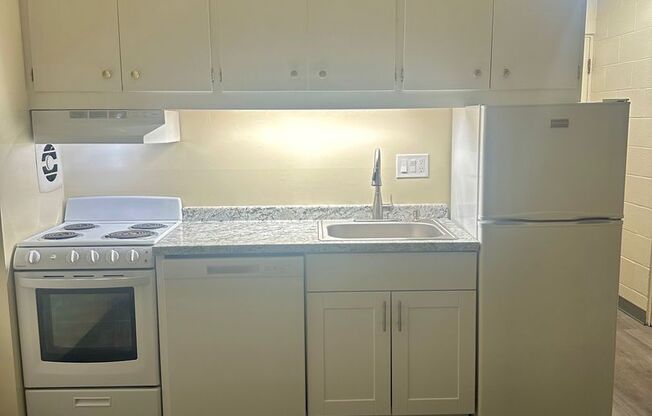 Studio, 1 bath, 302 sqft, $1,075, Unit 207