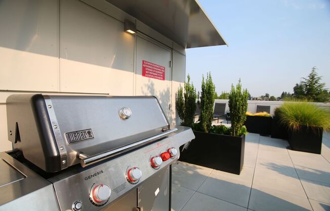 Studio, 1 bath, 308 sqft, $1,650, Unit 109 - Furnished