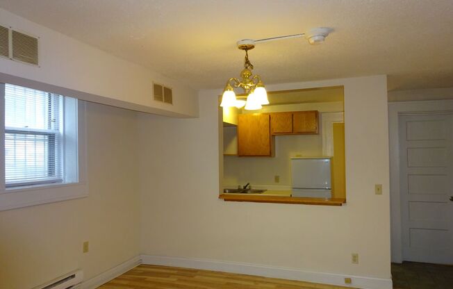 1 bed, 1 bath, 460 sqft, $925, Unit A1