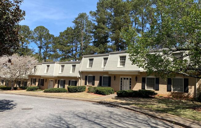 Georgetown Village