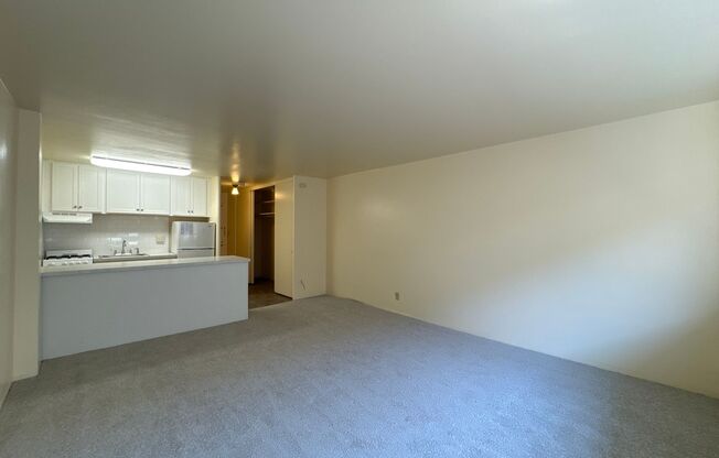 Studio, 1 bath, 360 sqft, $995, Unit 404