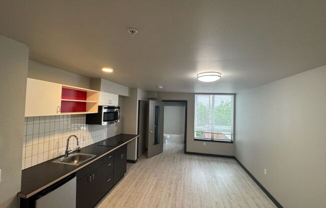 Studio, 1 bath, 309 sqft, $1,195, Unit 511