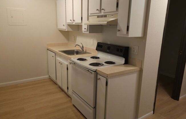 Studio, 1 bath, 495 sqft, $1,095, Unit 5