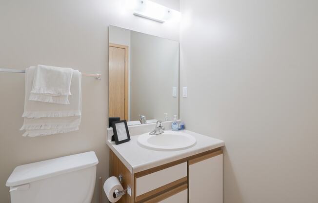 a bathroom with a toilet, sink, and a mirror
