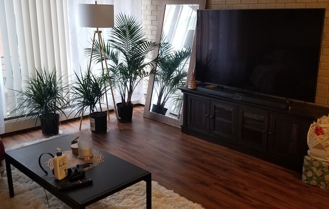 1 bed, 1 bath, 557 sqft, $1,800, Unit 08