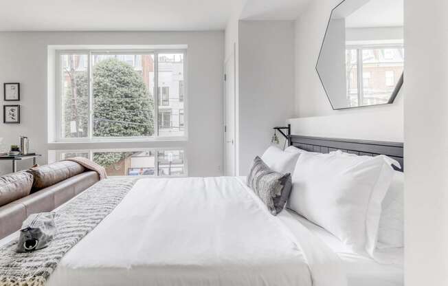 Comfortable Bedroom at Madison House, Washington