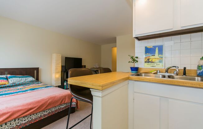 Studio, 1 bath, 400 sqft, $1,450, Unit 204