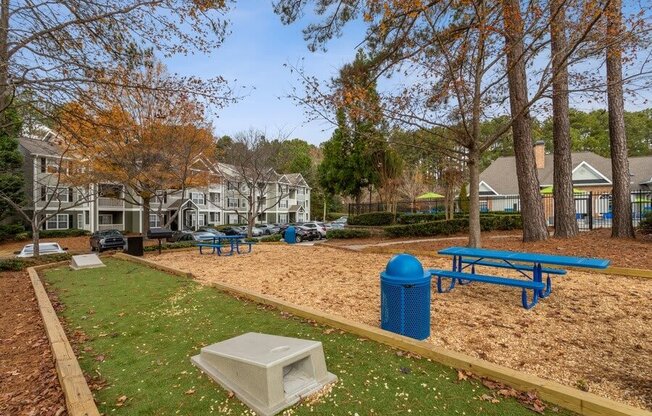 Cornhole court