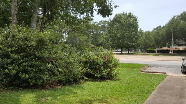 2 beds, 1 bath, 800 sqft, $1,025, Unit Unit A - 220 W Verbena Ave, Foley *key 16*