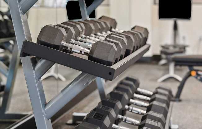 A set of dumbbells are on a rack in a gym.