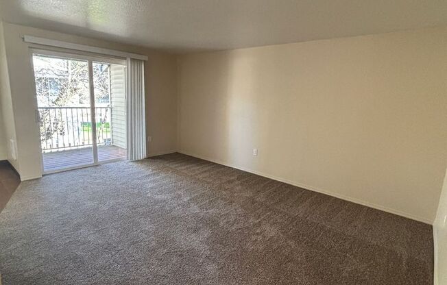 1 bed, 1 bath, 817 sqft, $1,300, Unit 137