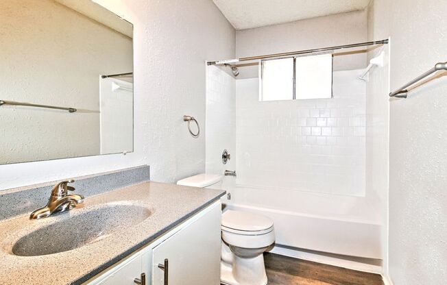 a bathroom with a sink and a toilet and a shower