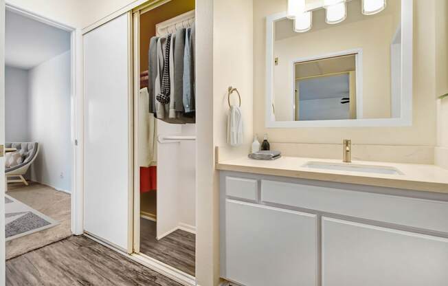 a bathroom with a sink and a mirror and a shower