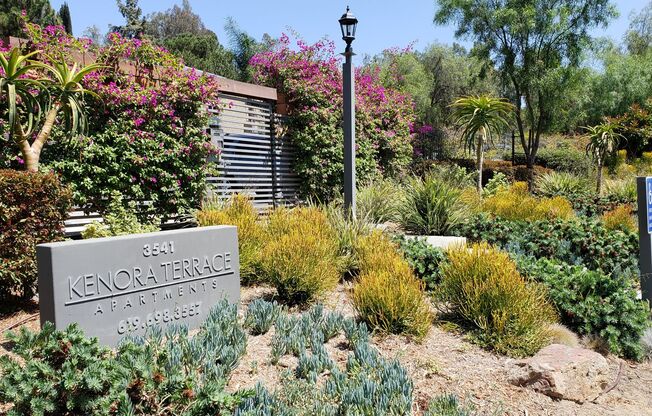 Kenora Terrace Apartments - Spring Valley, CA