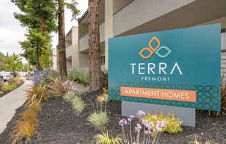 TERRA FREMONT