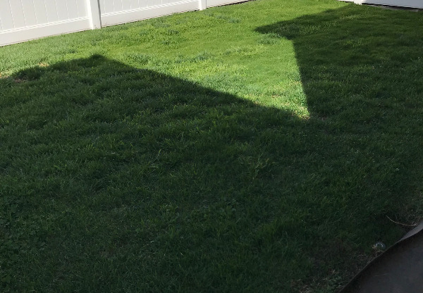13753 BURBANK