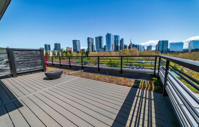 Park Central Townhomes - 4 Stories, 3 bedrooms, 31/2 bathrooms, 2 car garage and a rooftop deck with a view!