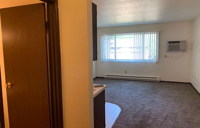 Studio, 1 bath, 325 sqft, $555, Unit 1929-15