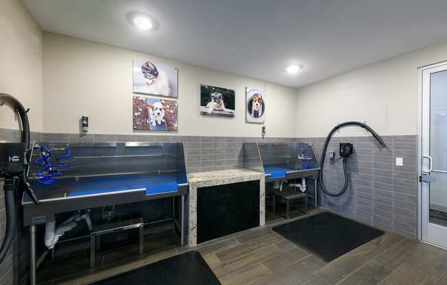 a laundry room with two sinks and a hose