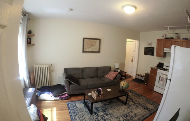 1 bed, 1 bath, $2,300, Unit 11