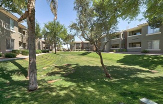 Grass Courtyard at Desert Sage Apartments in Goodyear Arizona