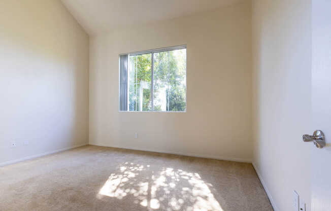 Carpeted Bedroom