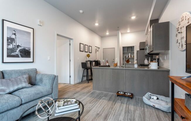 1 bed, 1 bath, 596 sqft, $1,455, Unit 308