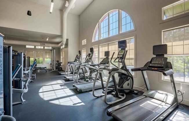 A gym with treadmills, elliptical machines, and other exercise equipment.