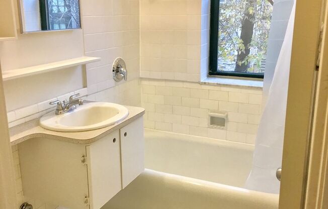 Studio, 1 bath, 233 sqft, $1,190, Unit 302