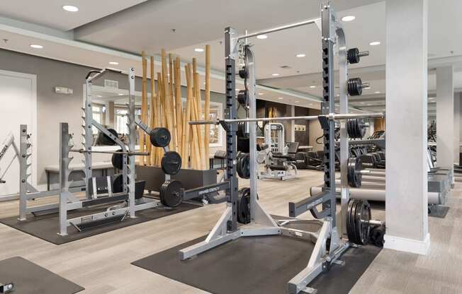 a gym with weights and dumbbells on the floor