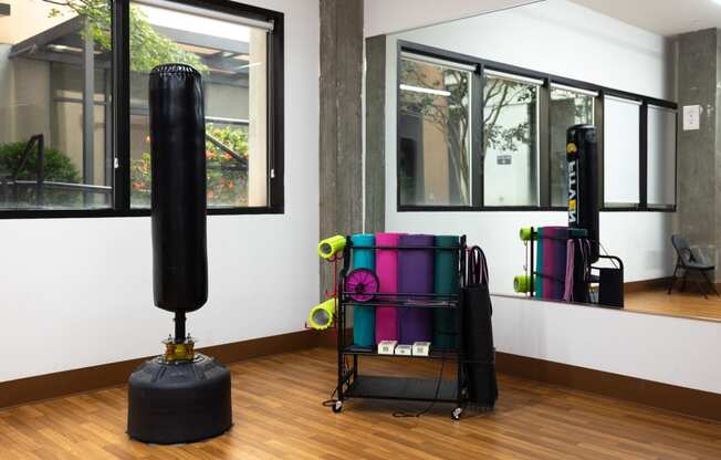 a punching bag and other equipment in a room with windows  at The Lady, Columbia, SC