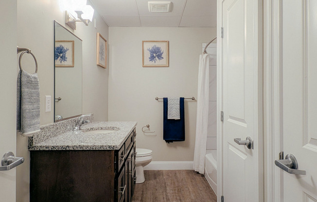 C3 Model - Bathroom