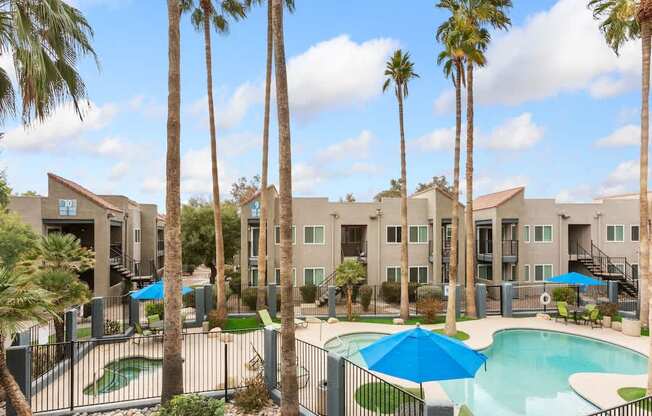 Palm Trees by Pool at Rio Seco Apartments
