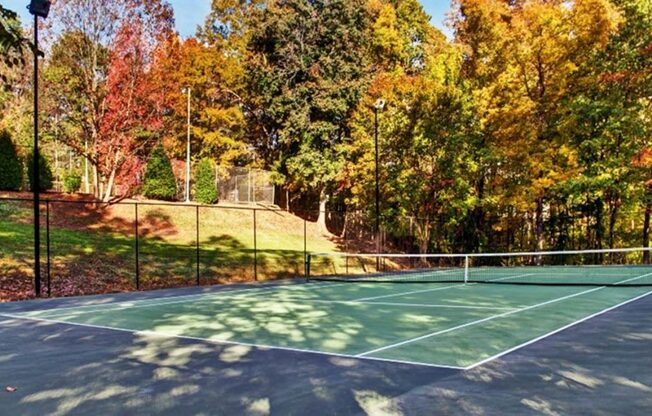 a tennis court with trees in the background