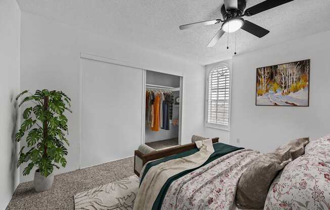 A bedroom with a bed, a ceiling fan, and a plant.