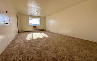 Studio, 1 bath, $805, Unit 310